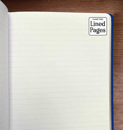 Vincent van Gogh: Irises Artisan Art Notebook (Flame Tree Journals)