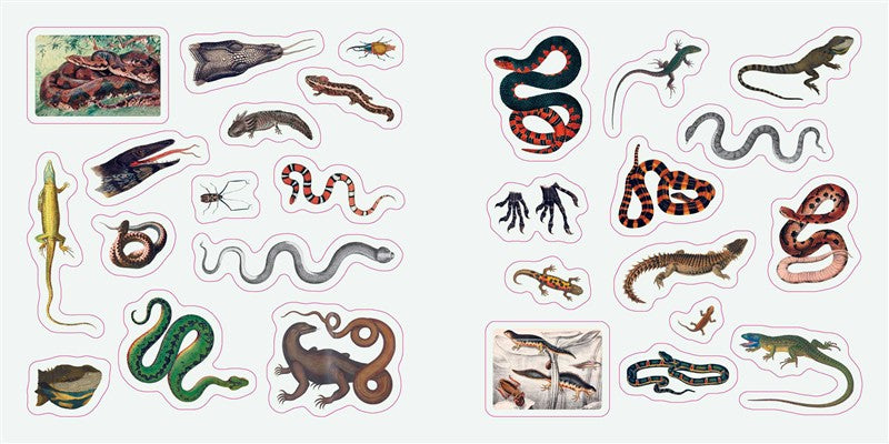 Fantastic Creatures: A Smithsonian Sticker Book