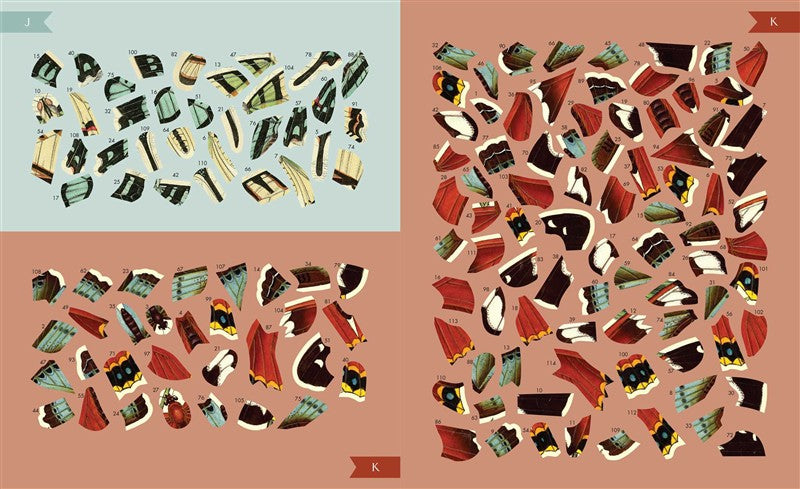 Museum Mosaics: Butterflies of the Smithsonian