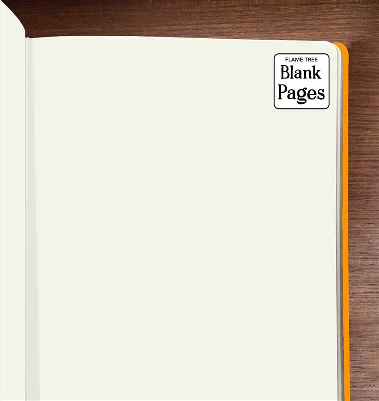 Jade Mosinski: Bee Artisan Art Blank Notebook (Flame Tree Journals)