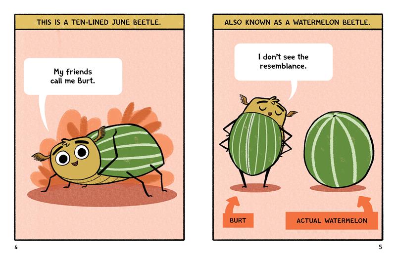 Burt the Beetle Doesnt Bite!