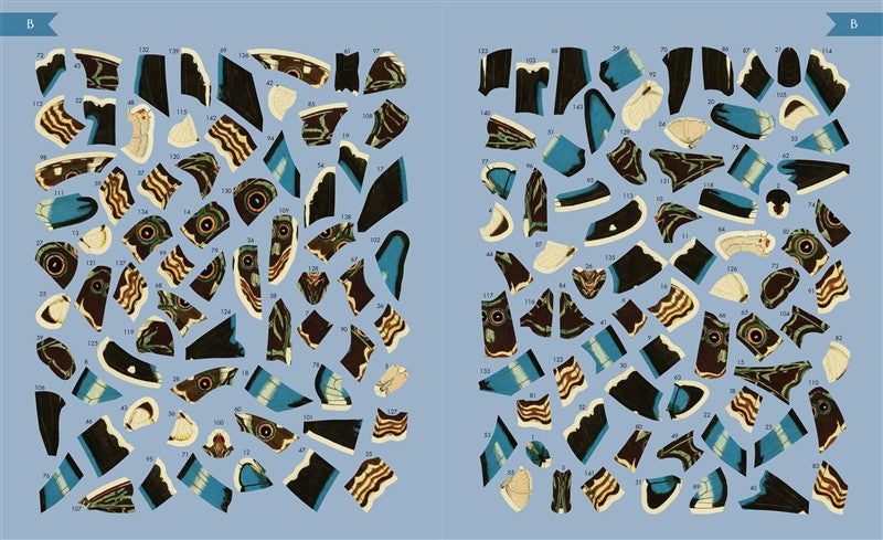 Museum Mosaics: Butterflies of the Smithsonian
