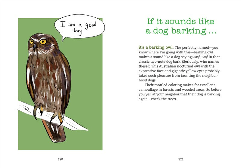 Bird Talk