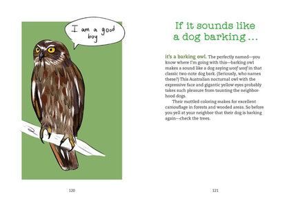 Bird Talk