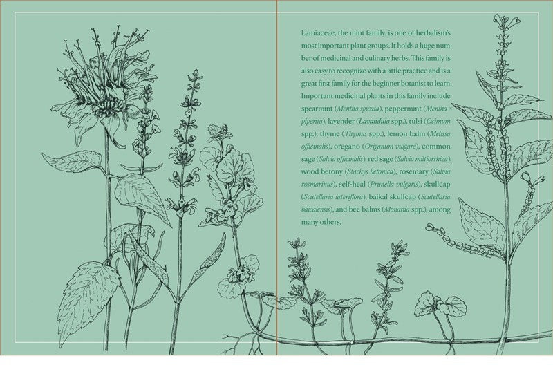 Botany for Herbalists