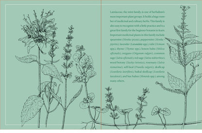 Botany for Herbalists