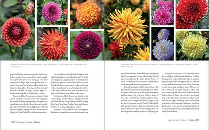 The Essential Guide to Bulbs