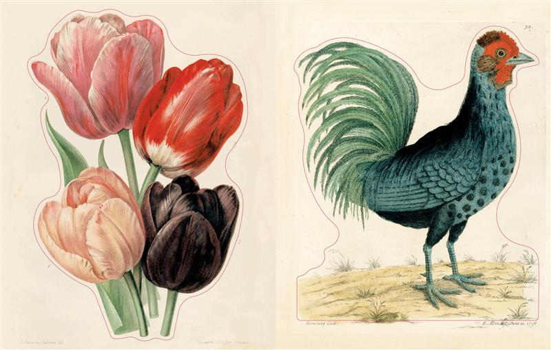 John Derian Sticker Book II