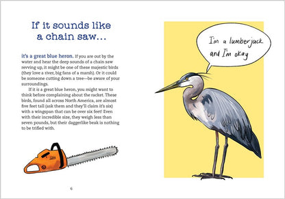 Bird Talk