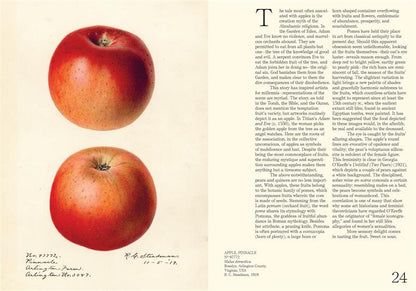 An Illustrated Catalog of American Fruits &amp; Nuts