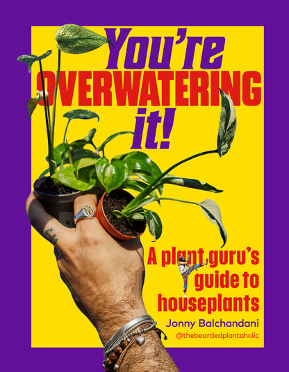 You're Overwatering It!