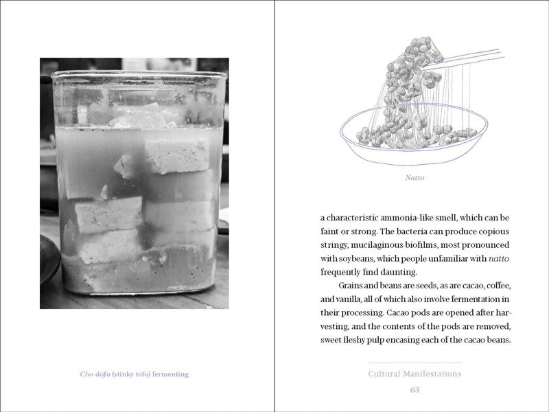 Fermentation