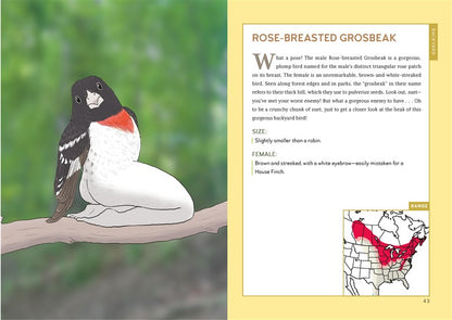 Extremely Accurate Birds
