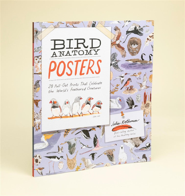 Bird Anatomy Posters