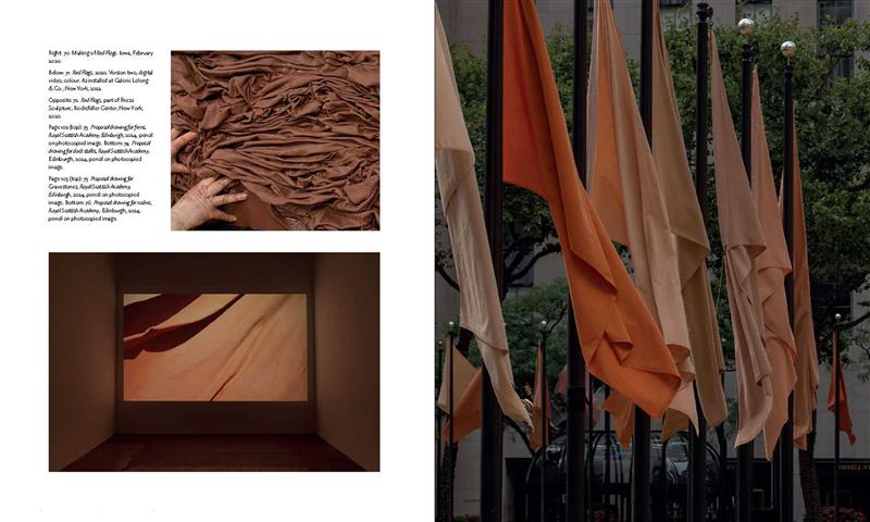 Andy Goldsworthy