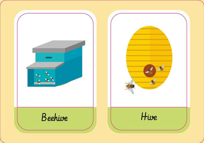 Eco Play: Bees