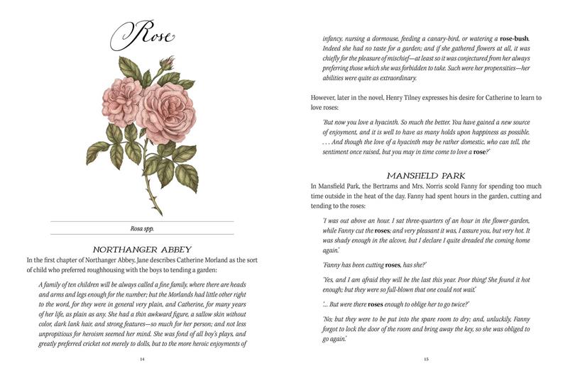 Jane Austen's Garden