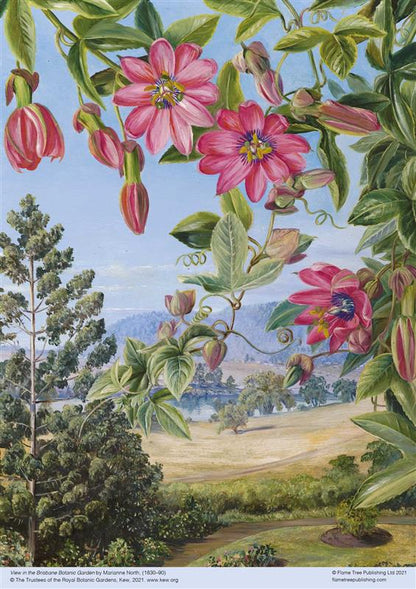 Adult Jigsaw Puzzle Kew: Marianne North: View in the Brisbane Botanic Garden (500 pieces)