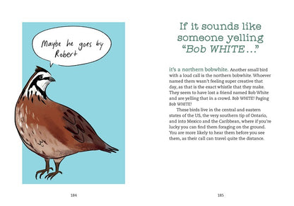 Bird Talk
