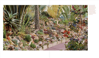 Designing the Lush Dry Garden