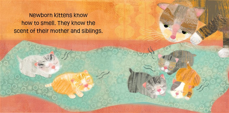 Kittens Know & Grow