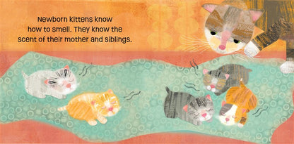 Kittens Know & Grow