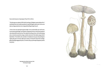 RHS Botanical Illustration