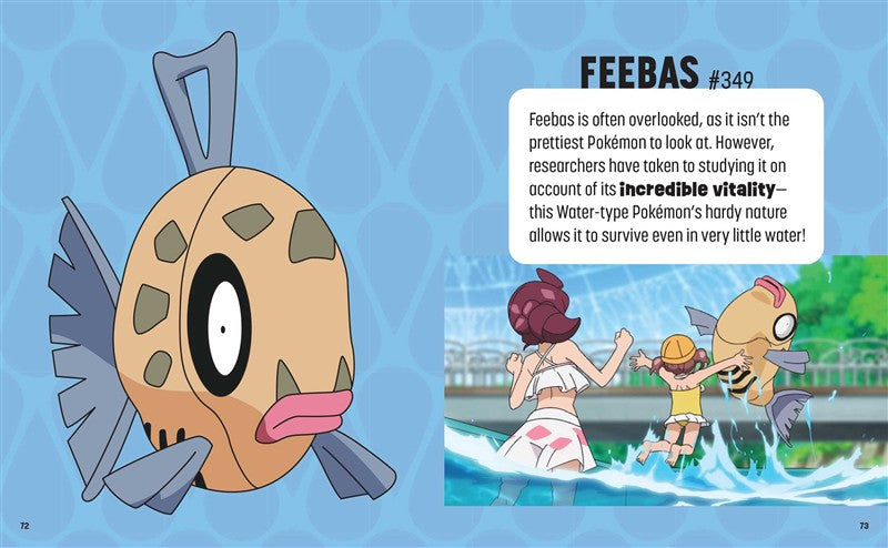 Pokémon: Trainer's Mini Exploration Guide to Hoenn