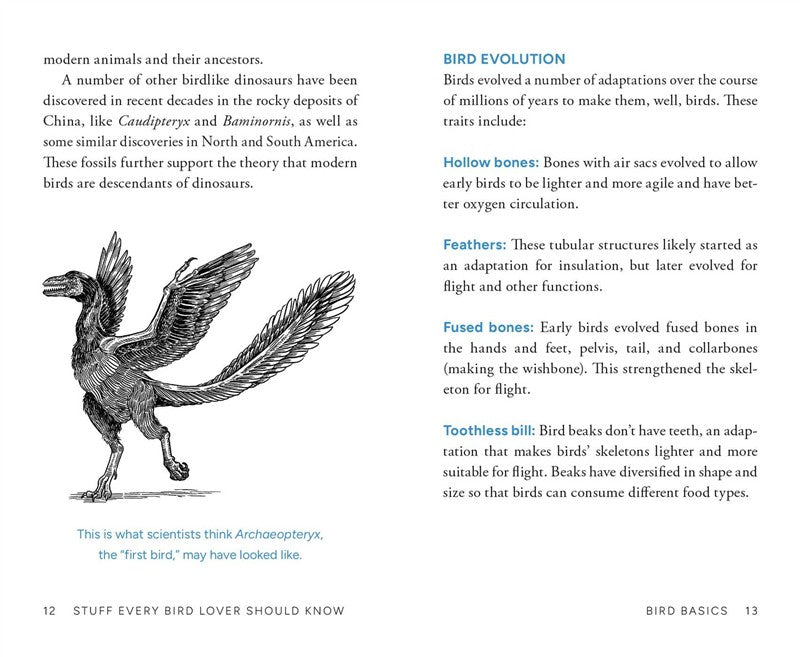 Stuff Every Bird Lover Should Know