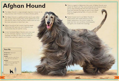 The Magnificent Book of Dogs