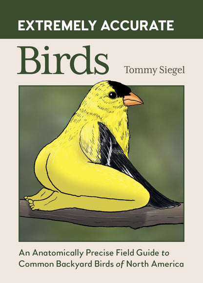 Extremely Accurate Birds