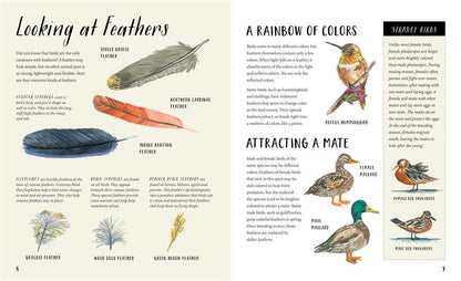 Nature All Around: Birds