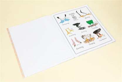Bird Anatomy Posters
