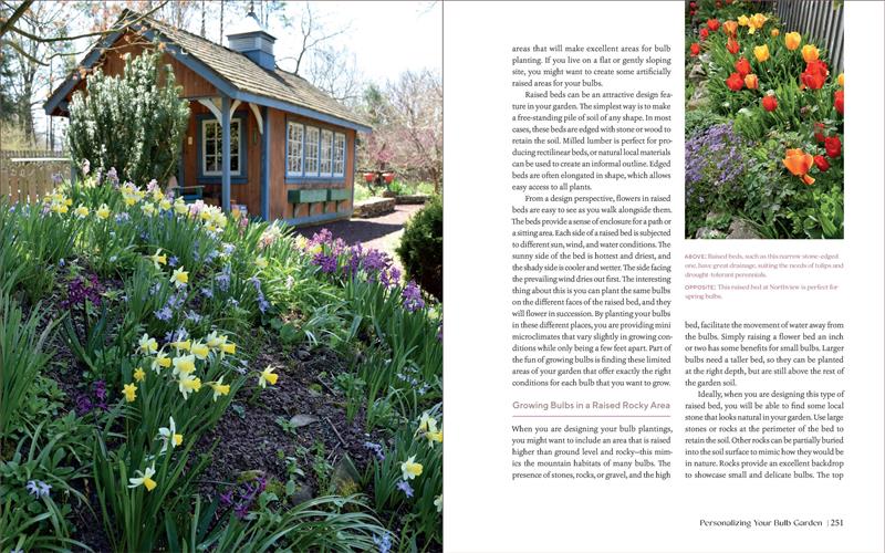 The Essential Guide to Bulbs