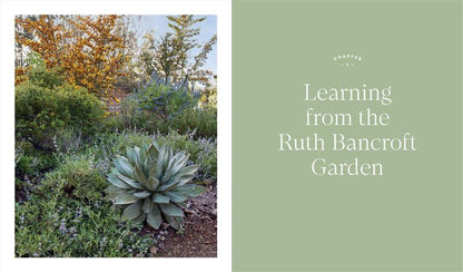 Designing the Lush Dry Garden