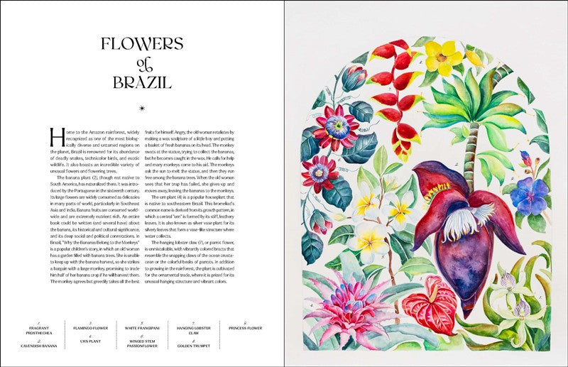 The Illuminated Book of Blooms