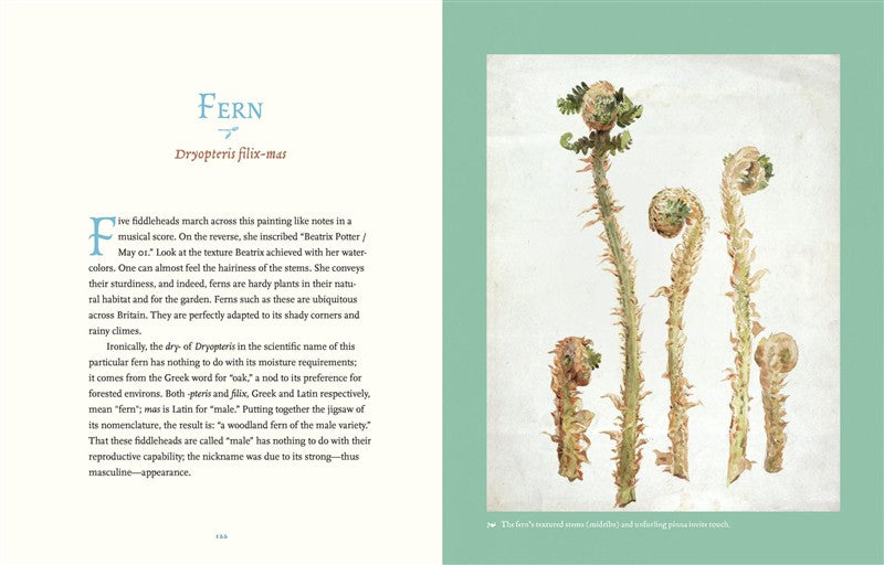 Beatrix Potter’s Botanical