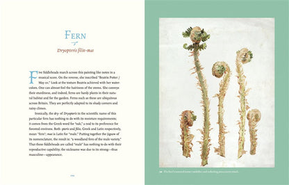 Beatrix Potter’s Botanical