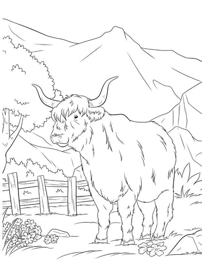 Highland Cow Coloring and Sticker Book