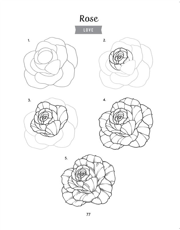 How to Draw the Language of Flowers