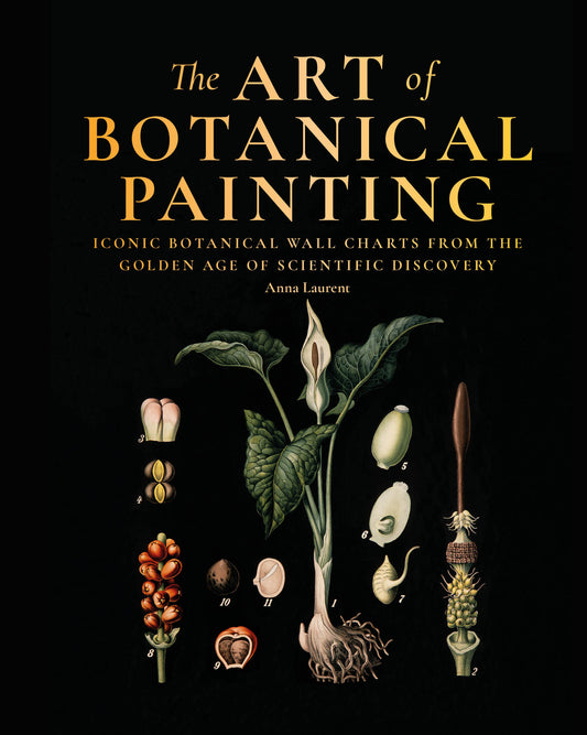 The Art of Botanical Painting