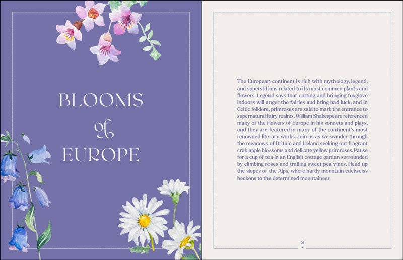 The Illuminated Book of Blooms