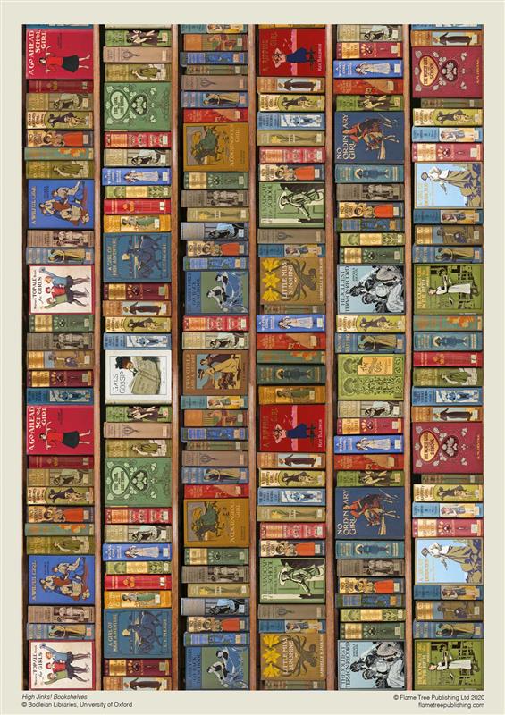 Adult Jigsaw Puzzle Bodleian Library: High Jinks Bookshelves