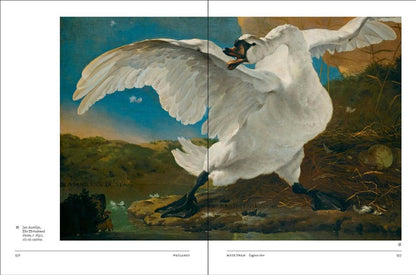 Flight