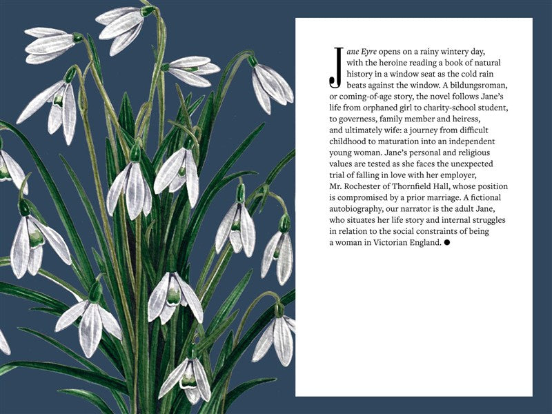 A Brontë   Botany