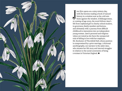 A Brontë   Botany