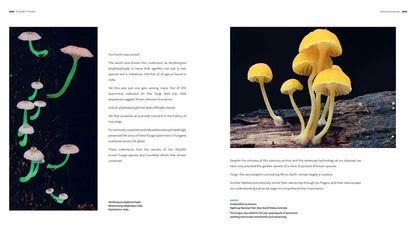 Planet Fungi