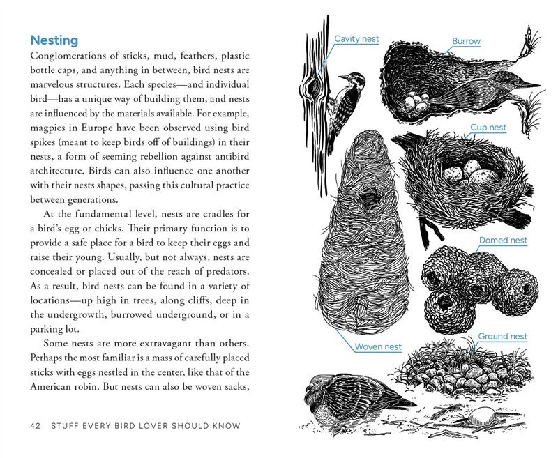 Stuff Every Bird Lover Should Know