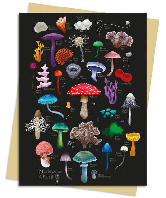 Anna Stead: Mushrooms &amp; Fungi Greeting Card Pack