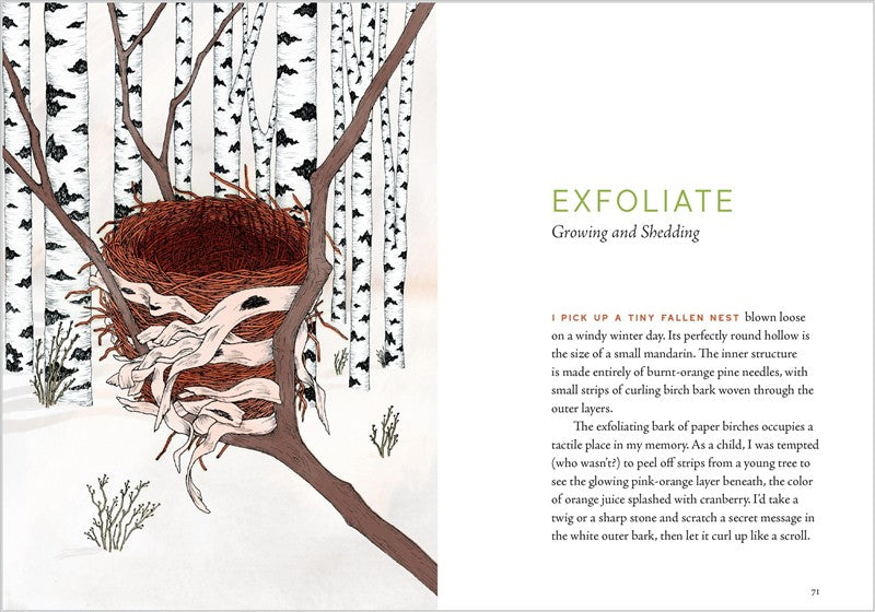 A Forest Language